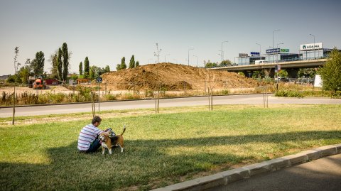 La iarba verde - Strada Ion Zavoi