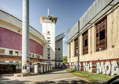 Intre stadion si bazinul de inot Giulesti