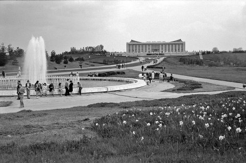 Parcul Tineretului