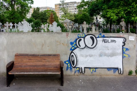 Cimitirul Dudești cu AEUL