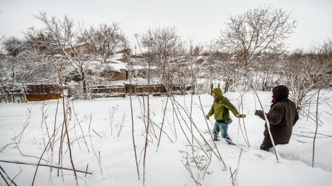 In excursie - Triaj Bucuresti