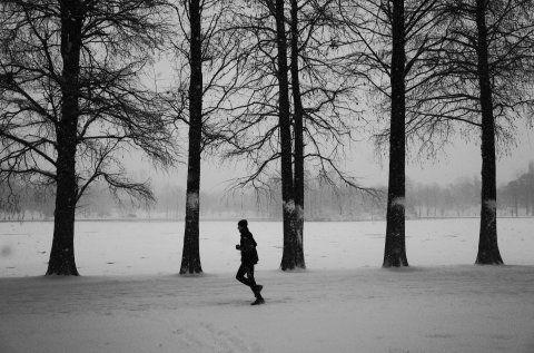 Jogger în parcul IOR