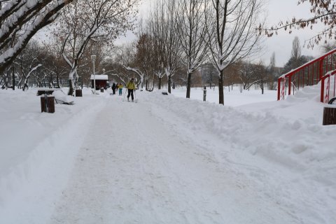 Schiori in parc