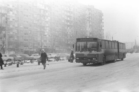 Iarna - Bulevardul 1 Decembrie 1918