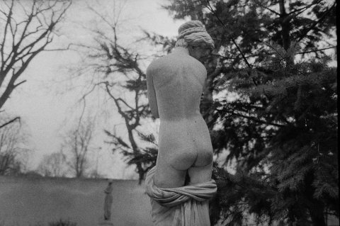 Statuie - Casa Monteoru