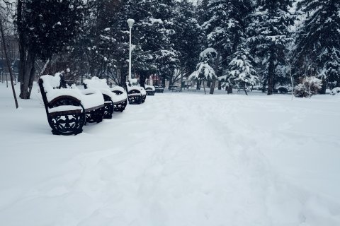 Iarna in parc