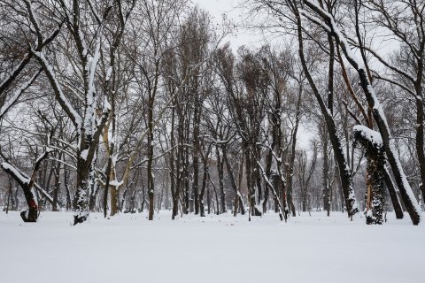 Iarna in parc.