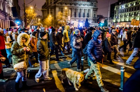 Protest anti-amnistie si gratiere 2017 - Calea Victoriei