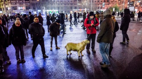 Protest anti-amnistie si gratiere 2017 - Piata Victoriei