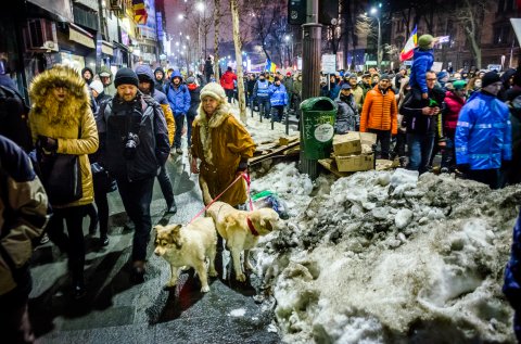 Protest anti-amnistie si gratiere 2017 - Bulevardul NIcolae Balcescu