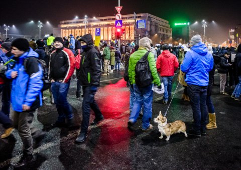 Protest anticoruptie - Piata Victoriei