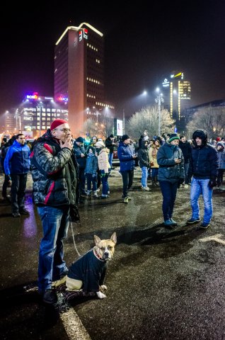 Protest anticoruptie - Piata Victoriei