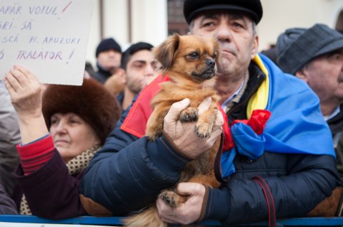 Protest Cotroceni - Bulevardul Gheorghe Marinescu