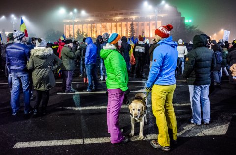 Protest anticoruptie - Piata Victoriei