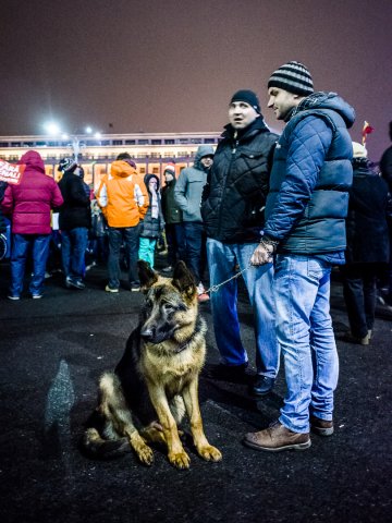 Protest anticoruptie - Piata Victoriei