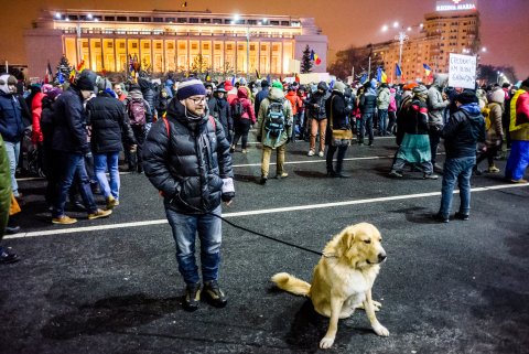 Protest anticoruptie - Piata Victoriei