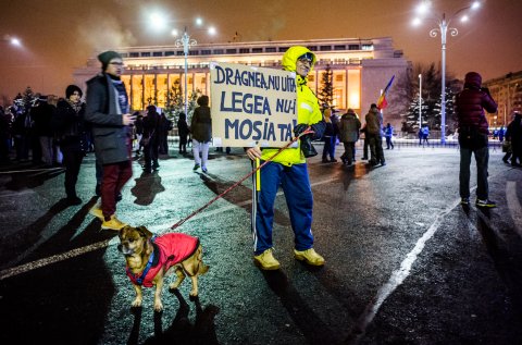 Protest anticoruptie - Piata Victoriei