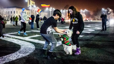 Protest anticoruptie - Piata Victoriei