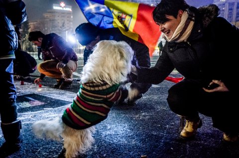 Protest anticoruptie - Piata Victoriei