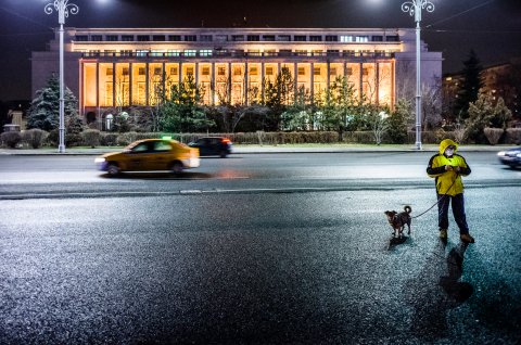 Protest anticoruptie - Piata Victoriei