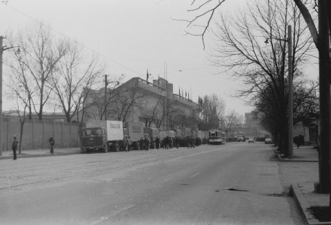 Stadionul Giulesti 29.02.1976