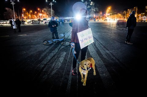 Protest anticoruptie - Piata Victoriei