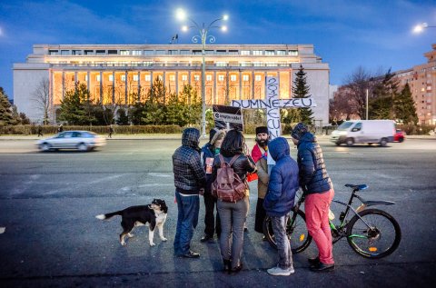 Protest anticoruptie - Piata Victoriei