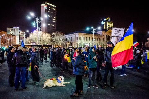 Protest anticoruptie - Piata Victoriei