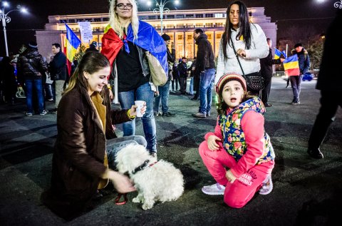 Protest anticoruptie - Piata Victoriei