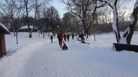 Miscarea inseamna viata lunga