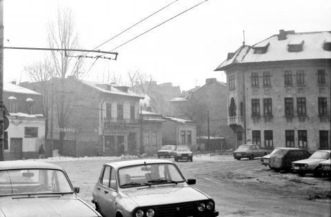 Strada Cameliei
