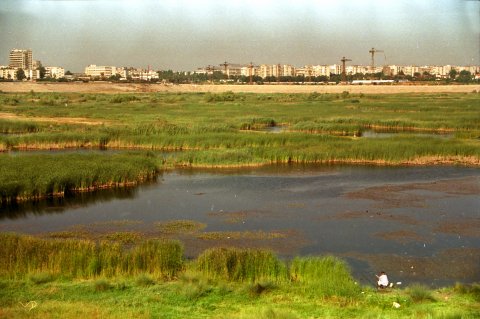 Lacul Vacaresti cu pescari, macarale si blocuri