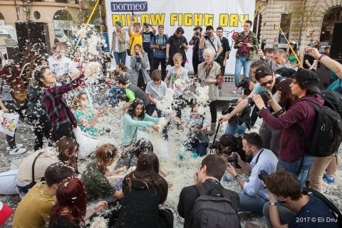 Pillow Fight 2017