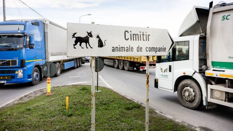 Indicator rutier - Cimitir animale de companie