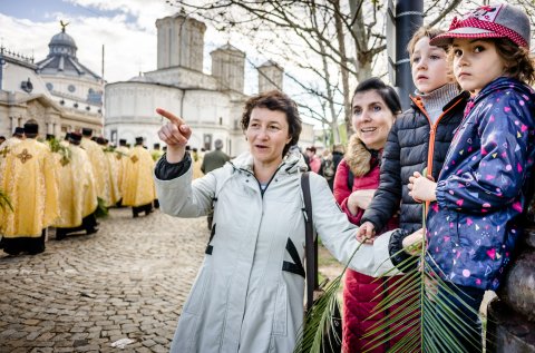 Procesiunea de florii - Aleea Dealul Mitropoliei