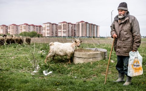 Cioban - Popești-Leordeni