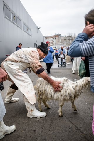 Măcelar - Piața Apărătorii Patriei