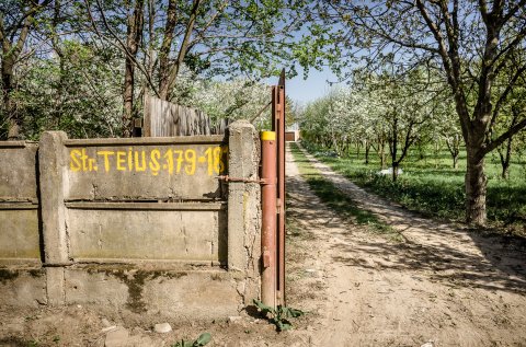 Strada Teiuș