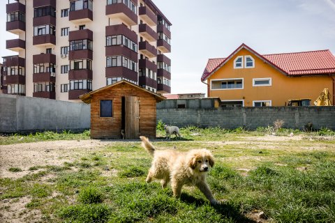 Cățel - Șoseaua Sălaj