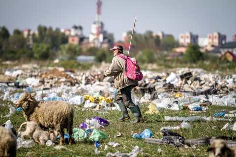 Cioban - Strada Teiuș