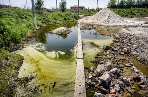 Baltă, lângă Dâmbovița