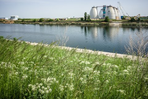 Natura - Portul Bucuresti Glina