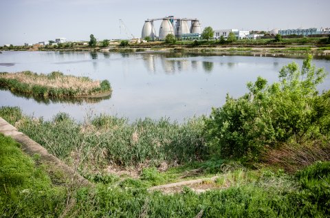 Natura - Portul Bucuresti Glina