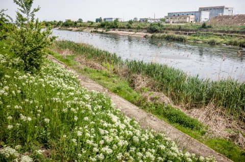 Dambovita dupa portul Bucuresti Glina