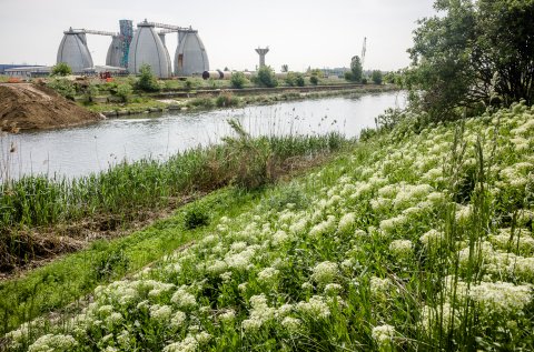 Dambovita dupa portul Bucuresti Glina