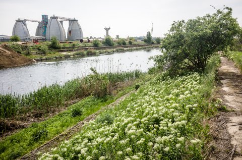 Dambovita dupa portul Bucuresti Glina