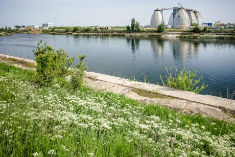 Natura - Portul Bucuresti Glina