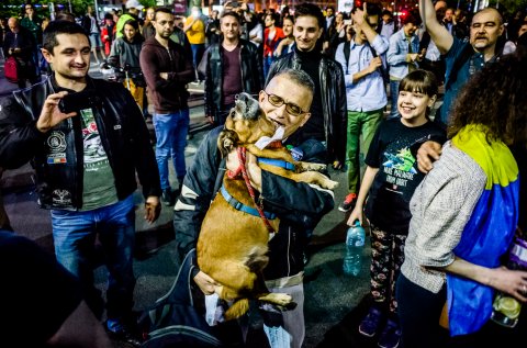 Protest anticorupție - Piața Victoriei