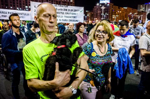 Protest anticorupție - Piața Victoriei