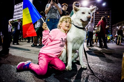 Copil și cățel - Protest anticorupție - Piața Victoriei